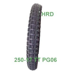 250 17 tt pg06